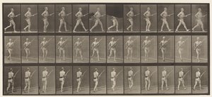 プレート359。充電用バヨネット、1872〜1885 作： Eadweard Muybridge