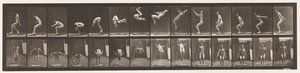プレート362背面宙返り 作： Eadweard Muybridge
