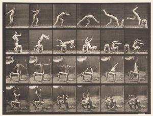 プレート364。男の背中に転回 作： Eadweard Muybridge