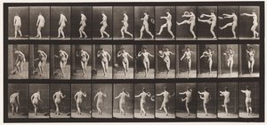 プレート367。蹴る帽子、1872-1885 作： Eadweard Muybridge