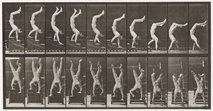 プレート368。Acrobat、手の上の階段を降りる 作： Eadweard Muybridge