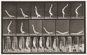 プレート372。Acrobat、水平腕立て伏せ 作： Eadweard Muybridge