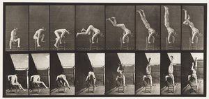 プレート373。アクロバット、椅子から腕立て伏せ 作： Eadweard Muybridge