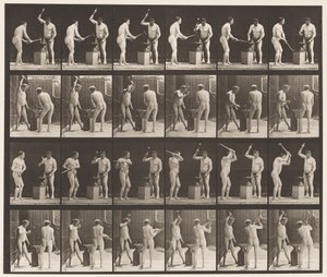 プレート377.鍛冶屋、2つのモデル、アドビルに槌で打つ、1872〜1885 作： Eadweard Muybridge
