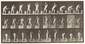 プレート378。鍛冶屋、アンビルのハンマー、両手 作： Eadweard Muybridge
