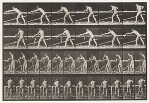 プレート379。カーペンター、プレーニングボード、1872〜1885 作： Eadweard Muybridge