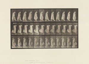 プレート37。ウォーキング、左手用ドレス、顔に右手、1872〜1885 作： Eadweard Muybridge
