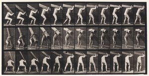 プレート383。肩の上の丸太を持ち上げる 作： Eadweard Muybridge
