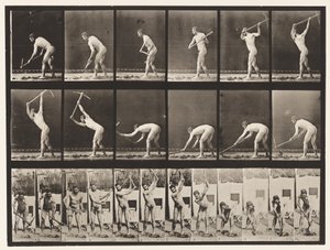 プレート385。農家、ピックの使用、1872〜1885 作： Eadweard Muybridge