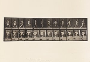 プレート389。ファーマー、散乱種子、1872〜1885 作： Eadweard Muybridge