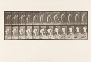 プレート390。農夫、草刈り 作： Eadweard Muybridge
