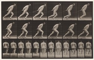 プレート392。ガーデンローラーのドラッグ、1872〜1885 作： Eadweard Muybridge