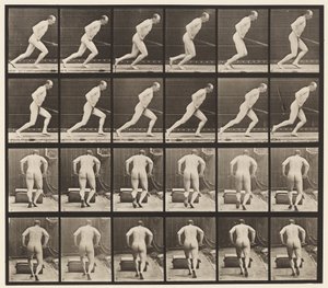 プレート393。ガーデンローラーを押す、1872〜1885 作： Eadweard Muybridge