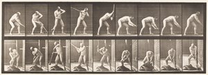 プレート396。木槌でドキドキ 作： Eadweard Muybridge