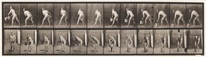 プレート398。バケツの水を持ち上げて空にする、1872〜1885 作： Eadweard Muybridge
