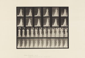 プレート39。ウォーキング、編み物に従事する手、1872〜1885 作： Eadweard Muybridge