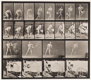 プレート400。水のバケツを空にする、1872〜1885 作： Eadweard Muybridge