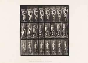 プレート405。「はしごをはしごを運ぶ、1872-1885」 作： Eadweard Muybridge
