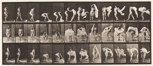 プレート419。トイレ、かがむ、肩の周りにラップを投げる 作： Eadweard Muybridge