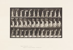 プレート41ウォーキング、ファンとの戯れ 作： Eadweard Muybridge