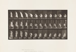 プレート 423トイレ、靴を履く、椅子から立ち上がる 作： Eadweard Muybridge