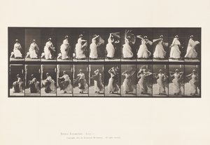 プレート424.トイレ;キアルから立ち上がり、ショールを履く、1885 作： Eadweard Muybridge