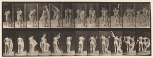 プレート428。トイレ。 2つのモデル、1つの破棄8、1872〜1885 作： Eadweard Muybridge