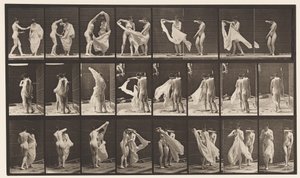 プレート429。トイレ。 2つのモデル、1つの破棄8、1872〜1885 作： Eadweard Muybridge