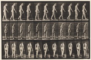 プレート42.ウォーキング、ピッチャーから水を注ぐ 作： Eadweard Muybridge