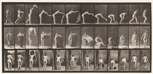 プレート439。床に敷物を広げる、1872〜1885 作： Eadweard Muybridge