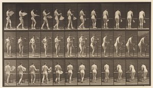 プレート441。キャリーベースとテーブルへの配置、1872〜1885 作： Eadweard Muybridge