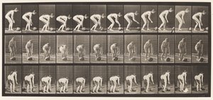 プレート442。身をかがめ、地面に石を転がす 作： Eadweard Muybridge