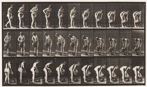 プレート446。水筒から地面にピッチャーを充填する 作： Eadweard Muybridge