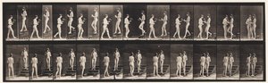 プレート448。2つのモデル 作： Eadweard Muybridge