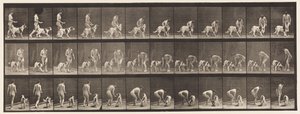 プレート449。犬に餌をやる 作： Eadweard Muybridge