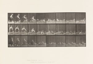 プレート 455干し草の山に身を投げる