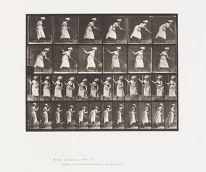 プレート456。RakingHay、1885 作： Eadweard Muybridge