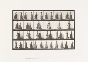 プレート45歩く2つのモデルが出会う、そして一部が回る 作： Eadweard Muybridge