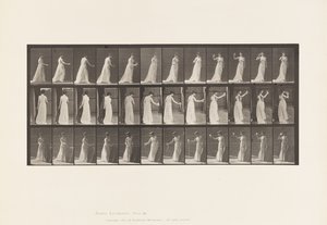 プレート462.地面に解放を注ぐ、ゴブレットから飲む、1885 作： Eadweard Muybridge