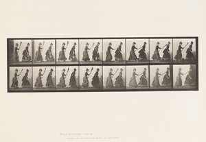 プレート464.2つのモデル、16、ほうきで4を追いかける、1885 作： Eadweard Muybridge