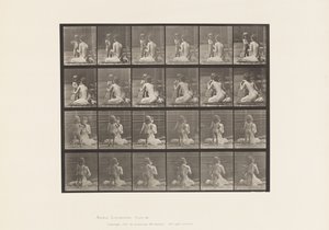 プレート466.2つのモデル、子供70N、花束を12、1885年にもたらす 作： Eadweard Muybridge