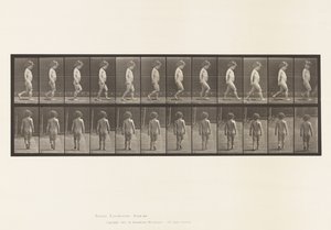 プレート467.子供、ウォーキング、1885 作： Eadweard Muybridge