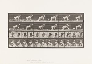 プレート471。子供、手と膝の上でクロール、1885 作： Eadweard Muybridge