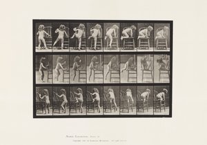 プレート475椅子に乗って立ち上がる子供 作： Eadweard Muybridge