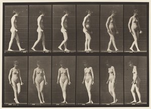 プレート47。歩き、向きを変える 作： Eadweard Muybridge