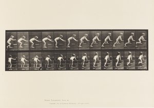プレート480階段を歩いたり這ったりする子供 作： Eadweard Muybridge