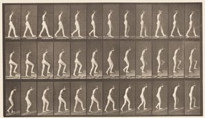 プレート482。A、ウォーキング。 B、上行階段; C、アセンディングインクライン、1872-1885 作： Eadweard Muybridge
