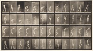 プレート488。A、ローンテニス。 B、ダムベル; C、手で歩く;、1872-1885 作： Eadweard Muybridge