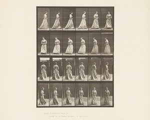 プレート48.両手でブーケを歩いて方向転換する、1885