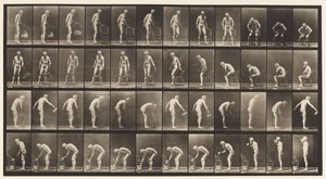 プレート490。A、座っている。 B、座って; C、散水 作： Eadweard Muybridge